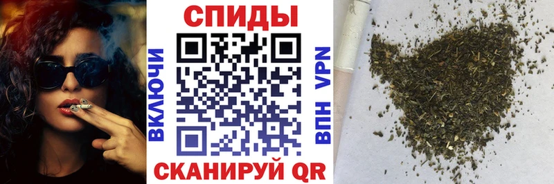 мориарти телеграм дарнет шоп Покачи Бутират бутандиол